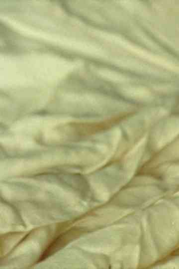 Bügeln auf der Straße Poster