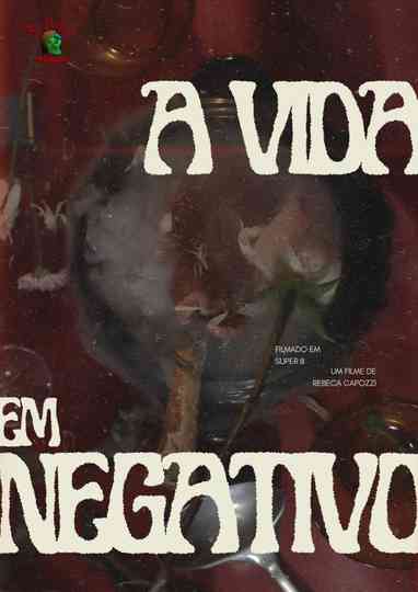A Vida em Negativo Poster