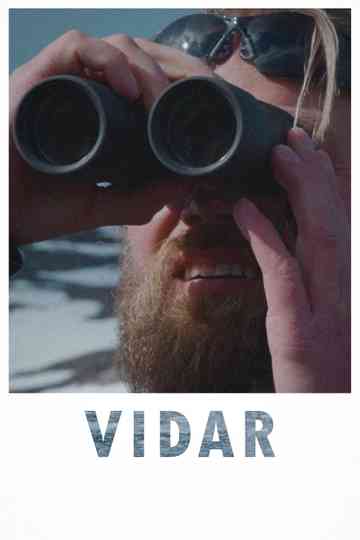 Vidar Poster