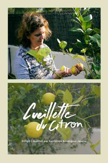 Cueillette du citron Poster