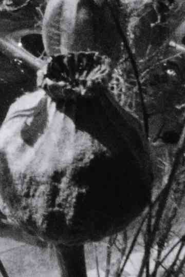 Ein windiger Frühlingstag Poster