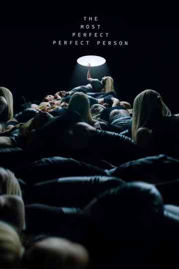 The Most Perfect Perfect Person Poster