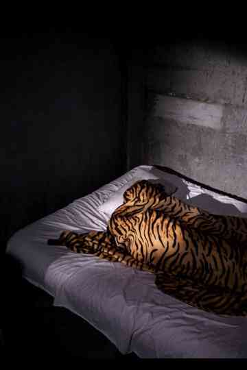 Generous bodies poster