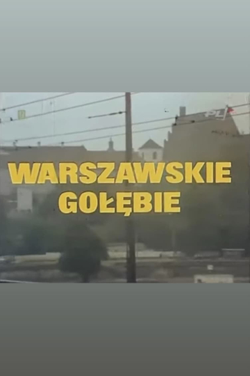 Warszawskie gołębie