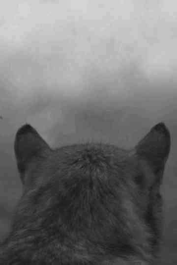 From the Mountain Poster