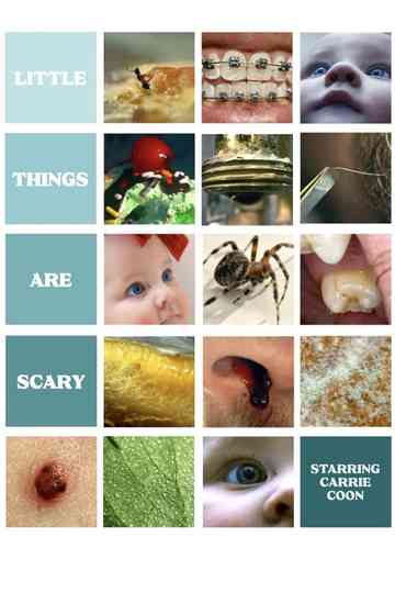 Little Things Are Scary Poster