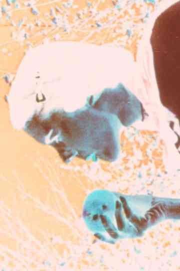 Kodachrome Love Poem Poster