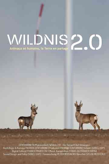 Wildnis 2.0 - Die Tierwelt auf Umwegen Poster