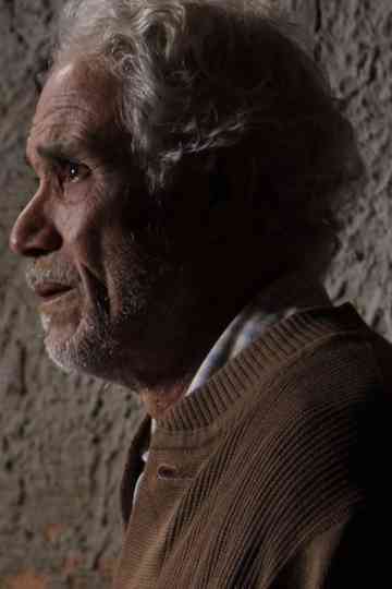 4 O'clock Flowers Poster