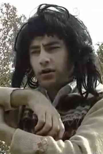 Falling Leaves Poster