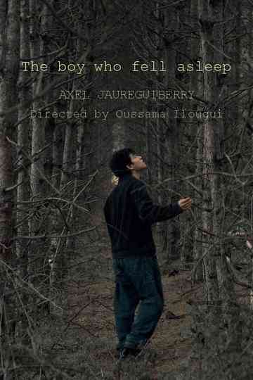 The boy who fell asleep Poster