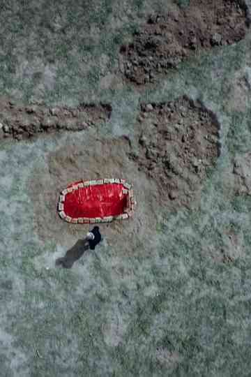 The grave under the plum tree Poster