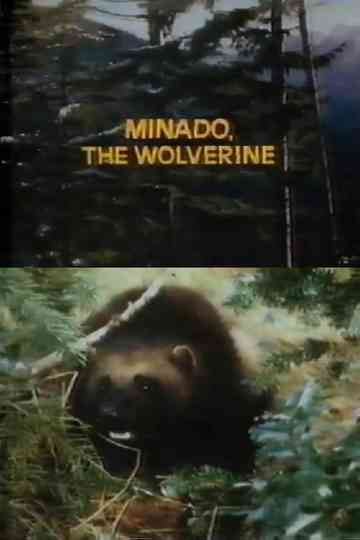 Minado, the Wolverine Poster
