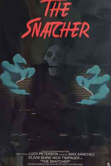 The Snatcher Poster
