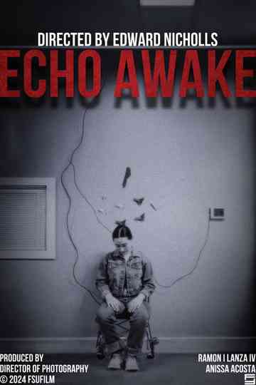 Echo Awake Poster