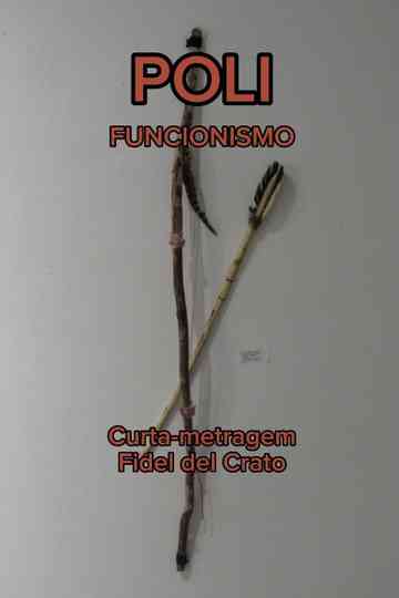 Polifuncionismo Poster