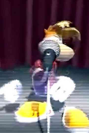 Rayman sings sexbomb Poster