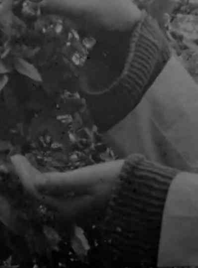 Die Erde überwältigt mich, or When the wing of the swallow opens Poster