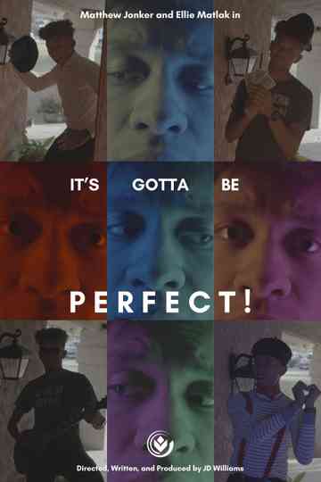 It's Gotta Be Perfect! Poster