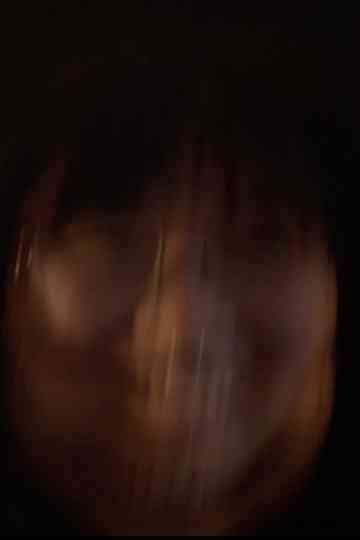 Trees/Rocks/People poster