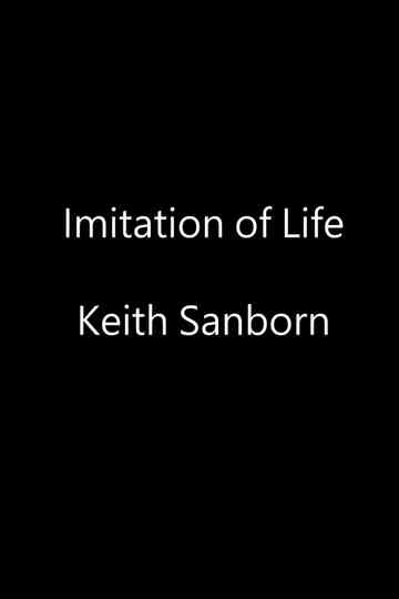 Imitation of Life Poster