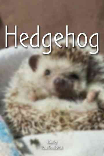 Hedgehog Poster