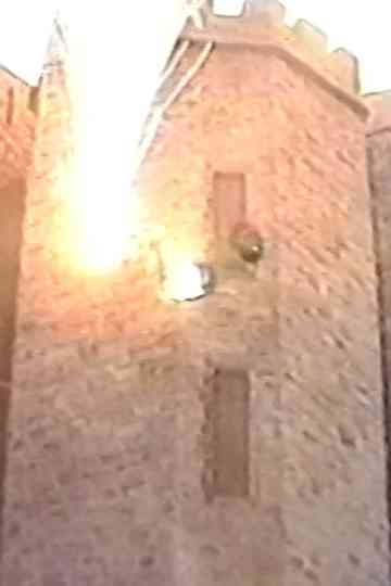 Gatørr The Fighting Rabbit Poster