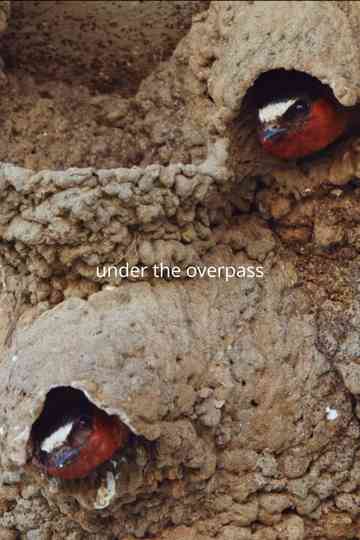 Under the Overpass Poster