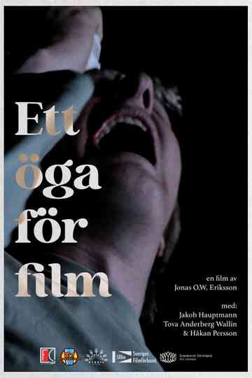 Ett öga för film Poster
