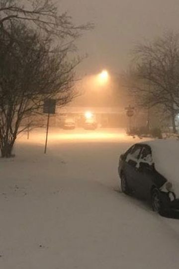 Kevin Neece's The Morning After