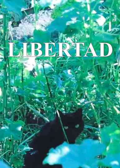Libertad Poster