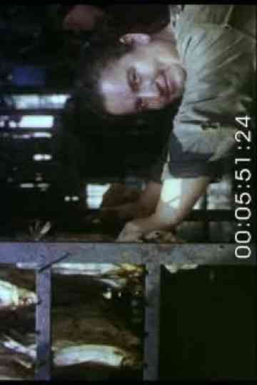 Landscape. Portrait. Still Life Poster