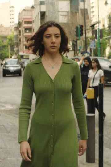 The Visual Feminist Manifesto Poster