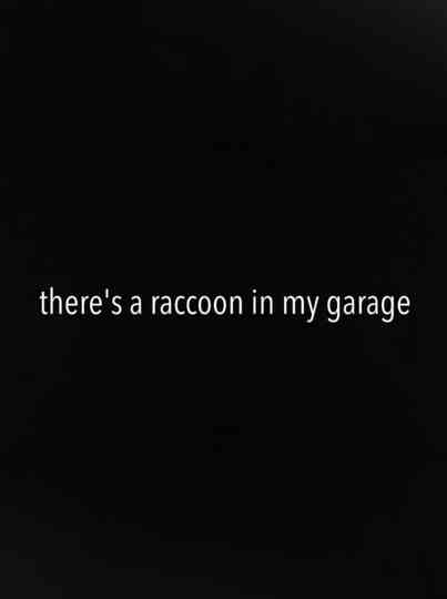 There's a Raccoon in My Garage Poster