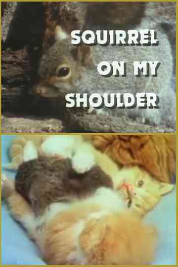 Squirrel On My Shoulder Poster