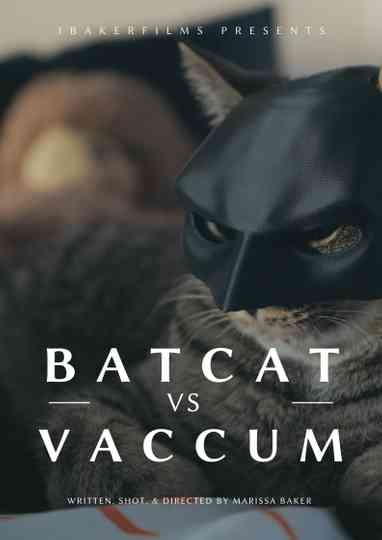 BatCat vs Vacuum Poster