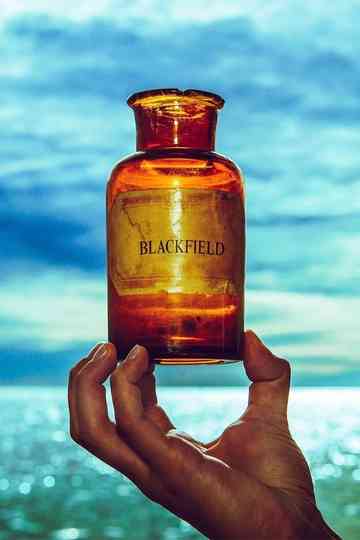 Blackfield V Poster