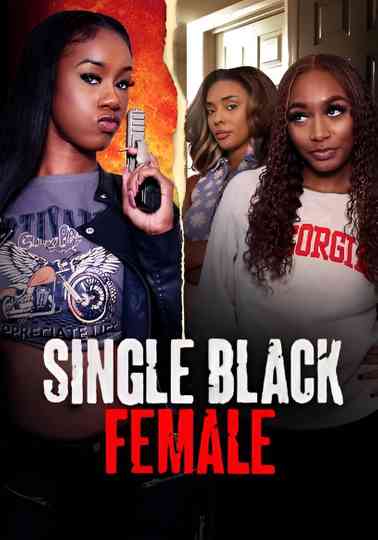 Single Black Female Poster