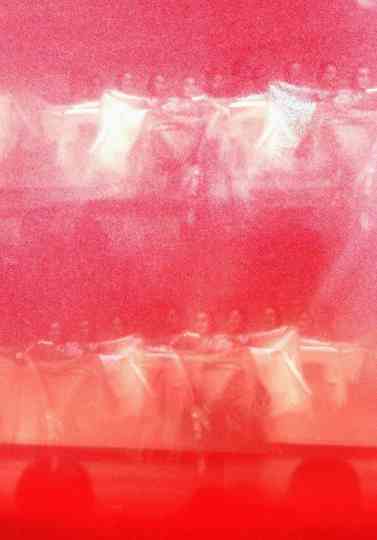 the revenant princess Poster