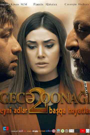 Night Guest 2 Poster