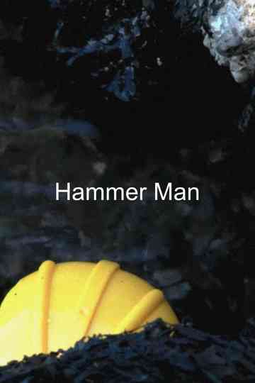 Hammer Man Poster