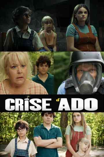 Crise d'ado Poster