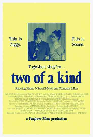 Two of a Kind Poster