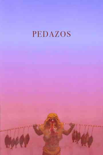 Pedazos Poster