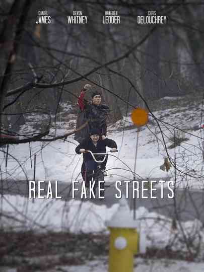 Real Fake Streets Poster