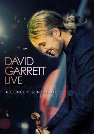 David Garrett LIVE  In Concert  In Private Poster