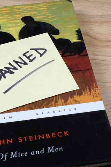 Library Wars: A New Front In America's Cultural Wars Poster