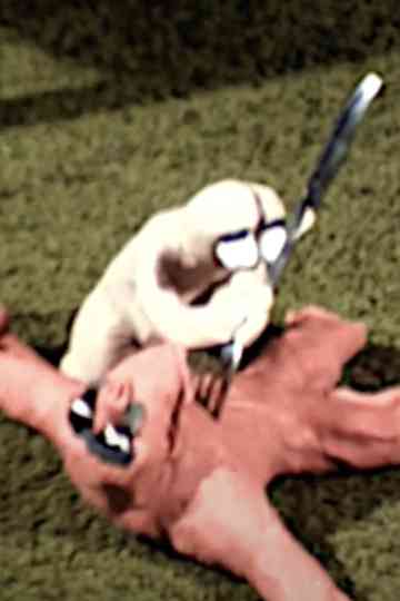 The Search for Happiness Poster