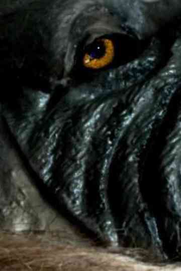 The Werewolf of Chatsford Poster