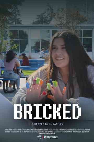 Bricked Poster